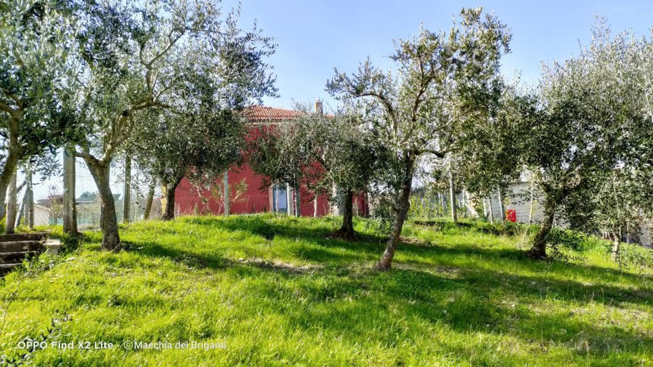 Agriturismo Macchia Dei Briganti - B&B Montefalcione Exterior foto